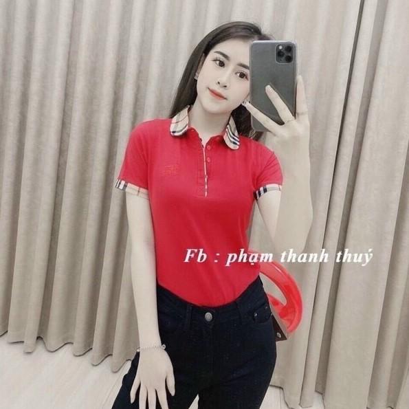 Áo thun cổ bẻ pha kẻ BBR ôm dáng, Áo phông ngắn tay thêu ngựa AS6012 - NhiNhi Shop