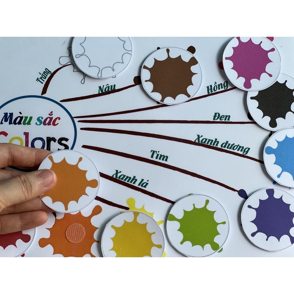 Monsi Edu Học liệu montessori màu sắc cho bé F85M
