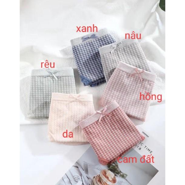 Set 5 chiếc Quần lót nữ xuất Nhật, quần chip nữ Cotton tăm co giãn 4 chiều