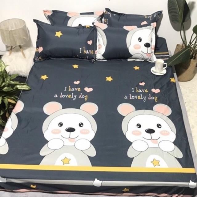 Bộ Ga Gối Poly Cotton loại đẹp nhiều mẫu ngộ nghĩnh