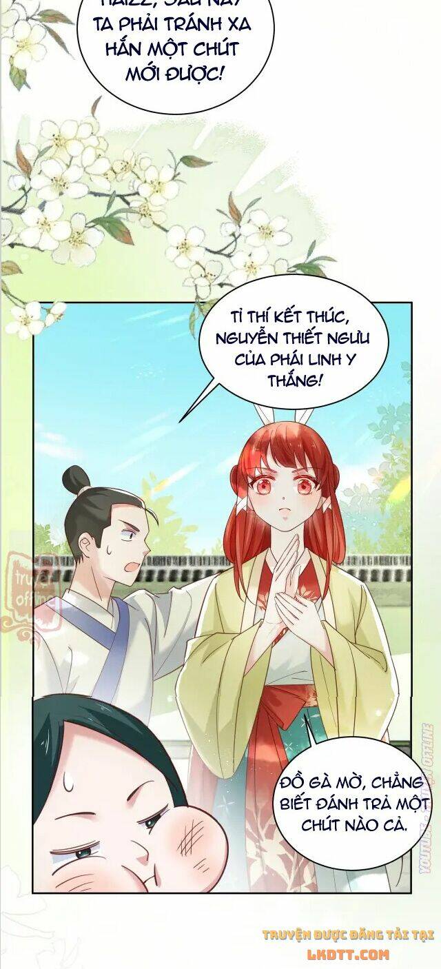 hắc hóa nam chính trực tuyến nuôi thỏ chapter 49 28