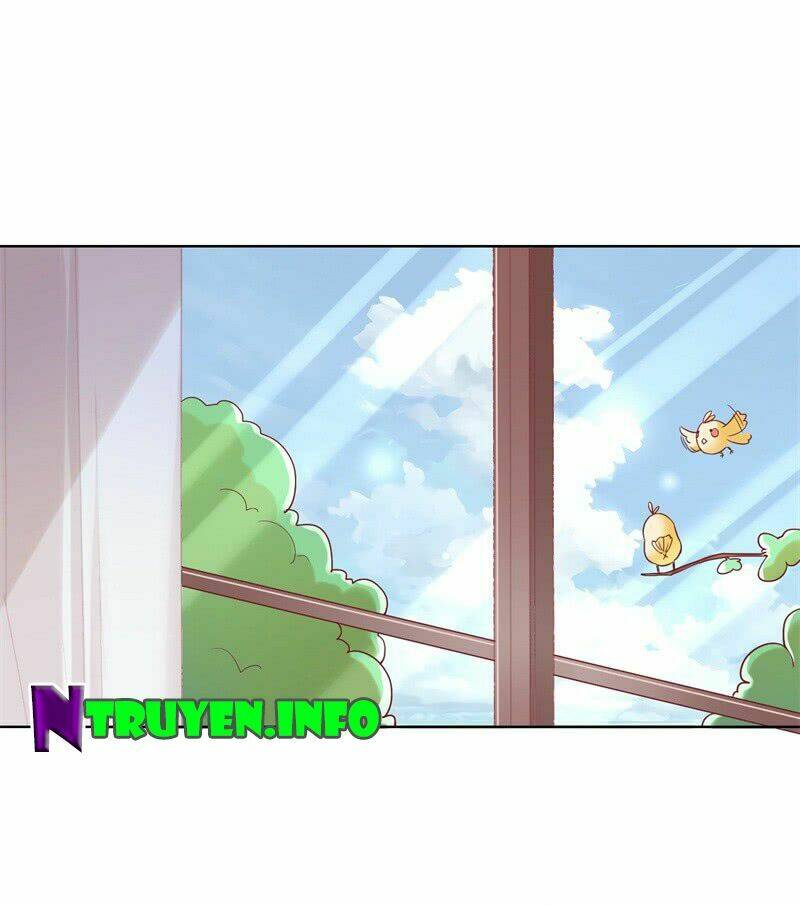 ngạo kiều tổng tài sủng điềm thê chapter 28 30