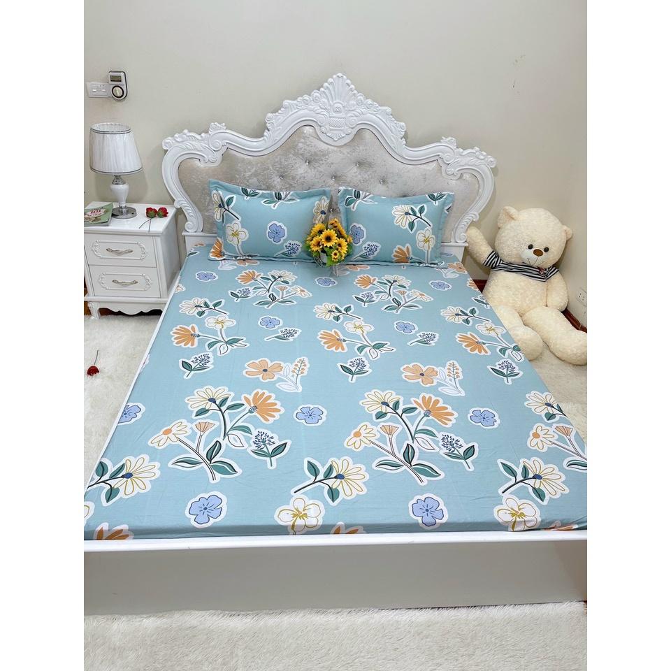 Bộ ga chun trơn và 2 vỏ gối 100% cotton hàn các kích thước