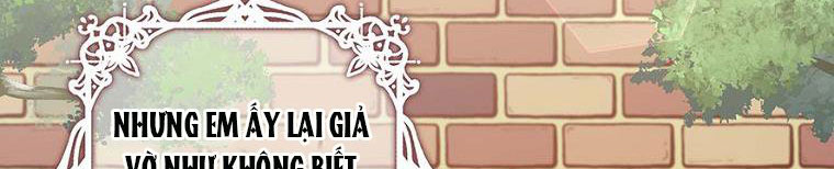 tôi sẽ cố gắng bảo vệ em gái chapter 26 255