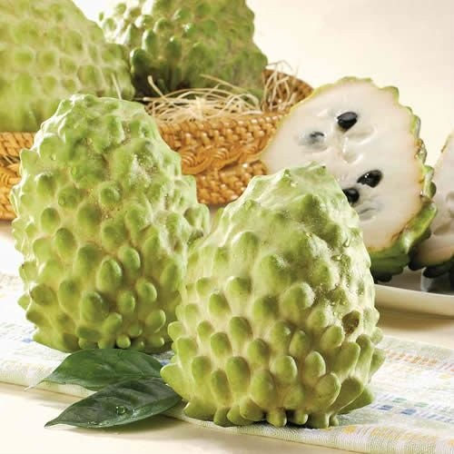 Bộ 1 gói Hạt giống na thái lan