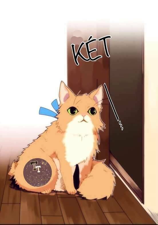 biểu đồ của linh mục chapter 4 36