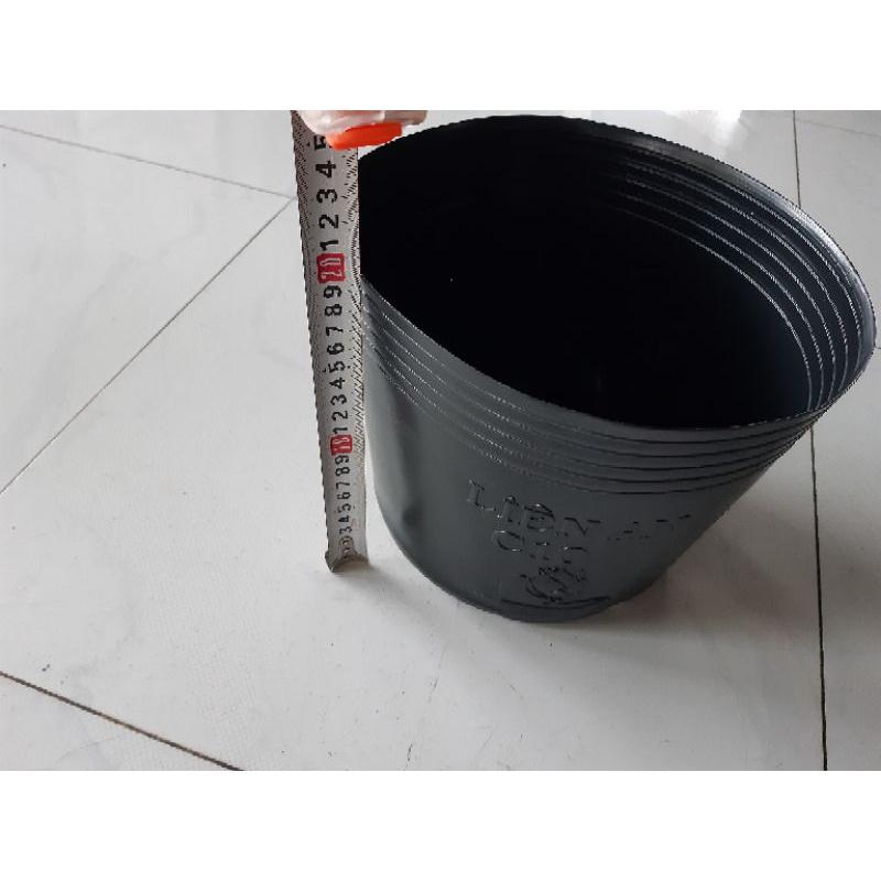 50 chậu c10 liên an