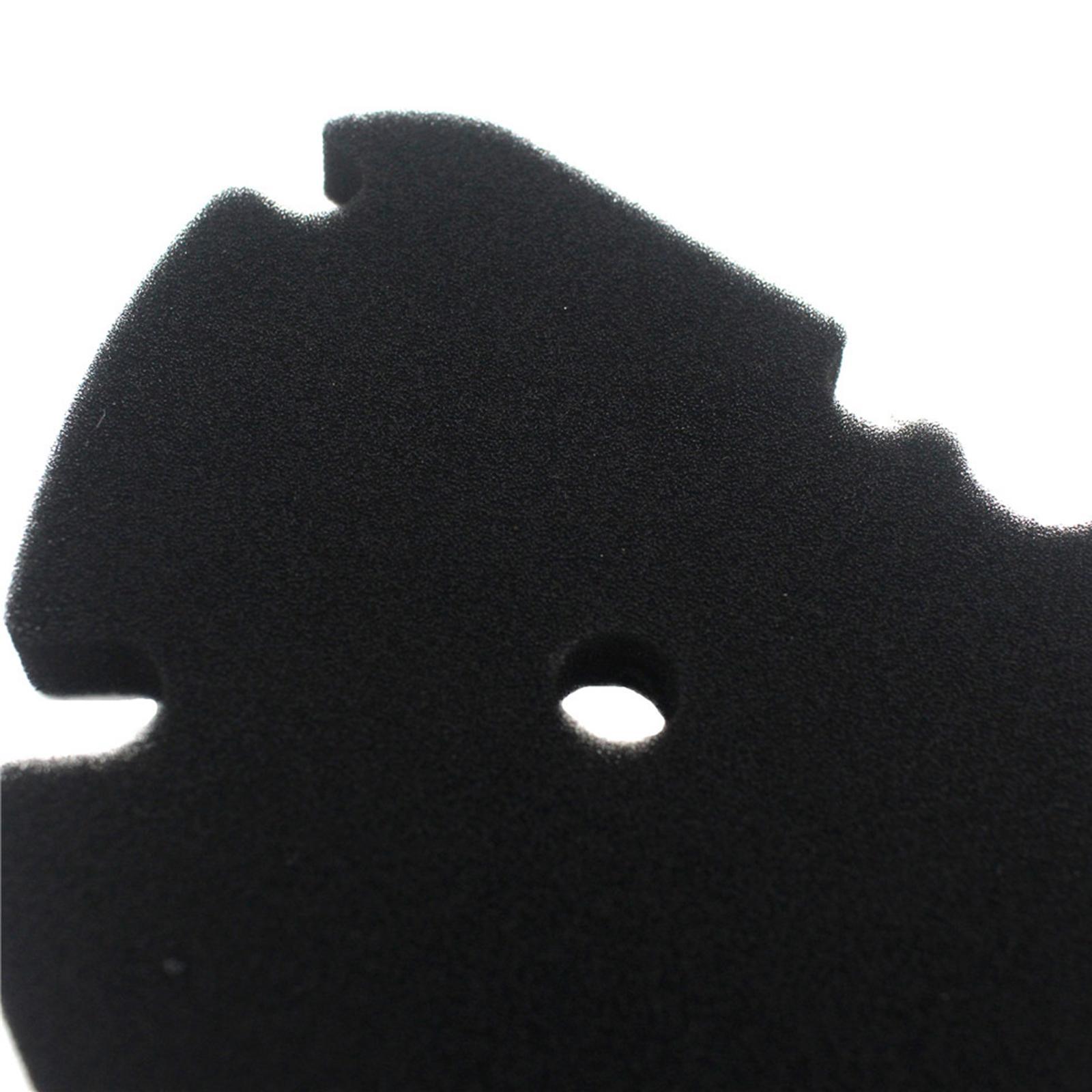 Premium Sponge   Air Filter for  GTV 250 300  250