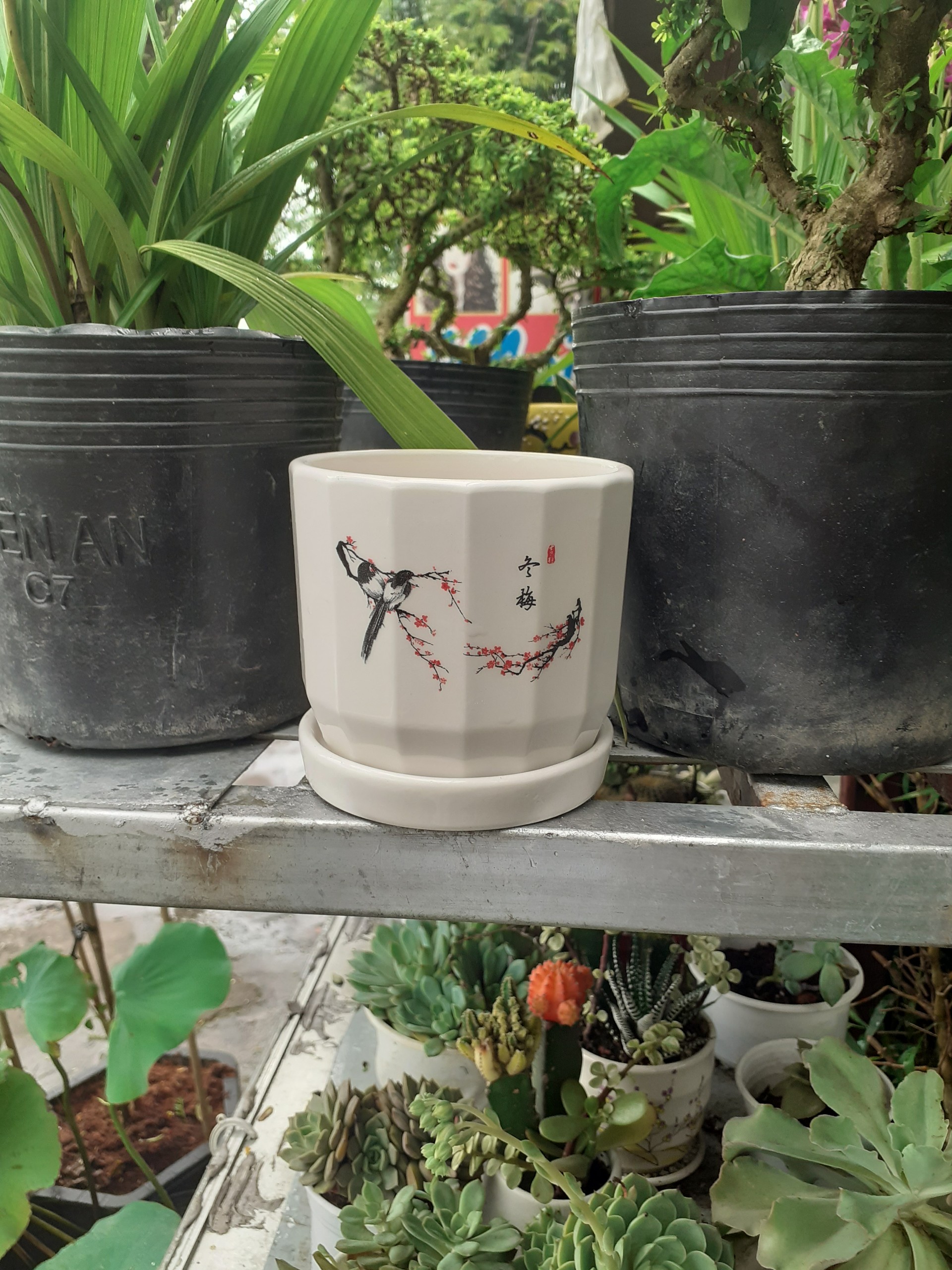 Chậu sứ tròn kèm dĩa đôi chim uyên ương giữa mùa xuân.