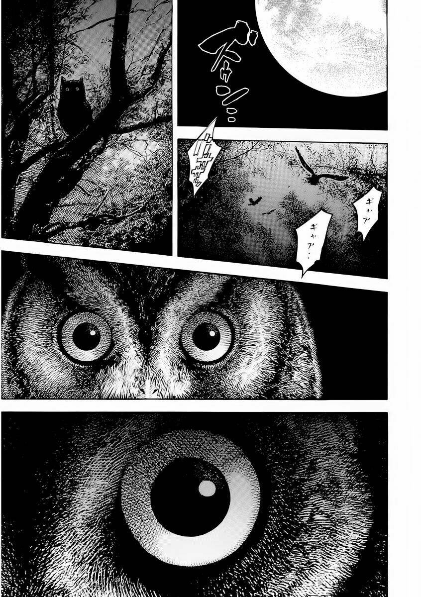 cái chết sau 7 ngày chapter 1 13