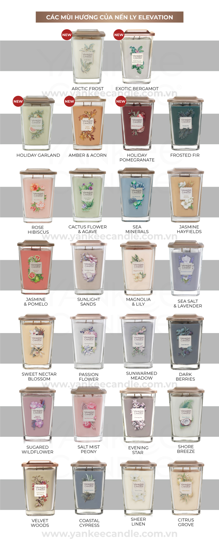Nến ly vuông Elevation Yankee Candle size S - Arctic Frost