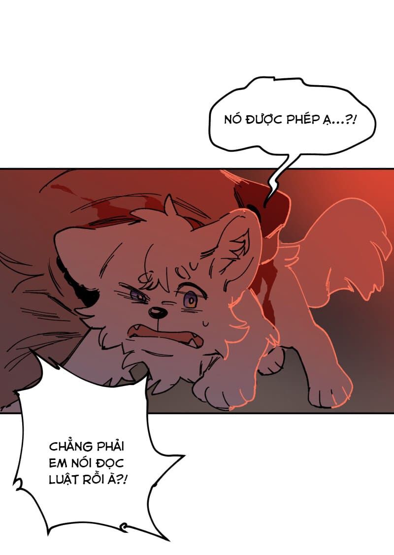 lumine - cội nguồn ánh sáng chapter 110 10