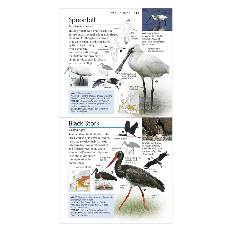 RSPB Pocket Birds Of Britain And Europe