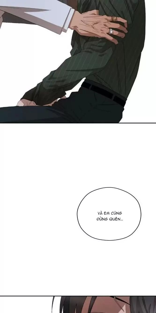 liveta chapter 31 29