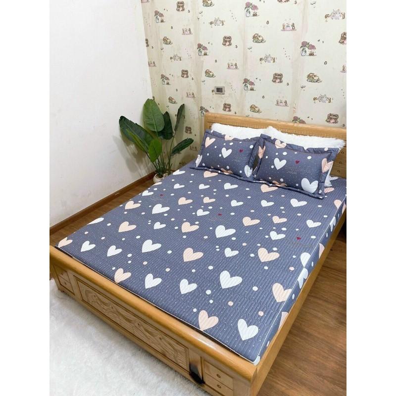 Bộ ga gối trần bông cotton loại đẹp