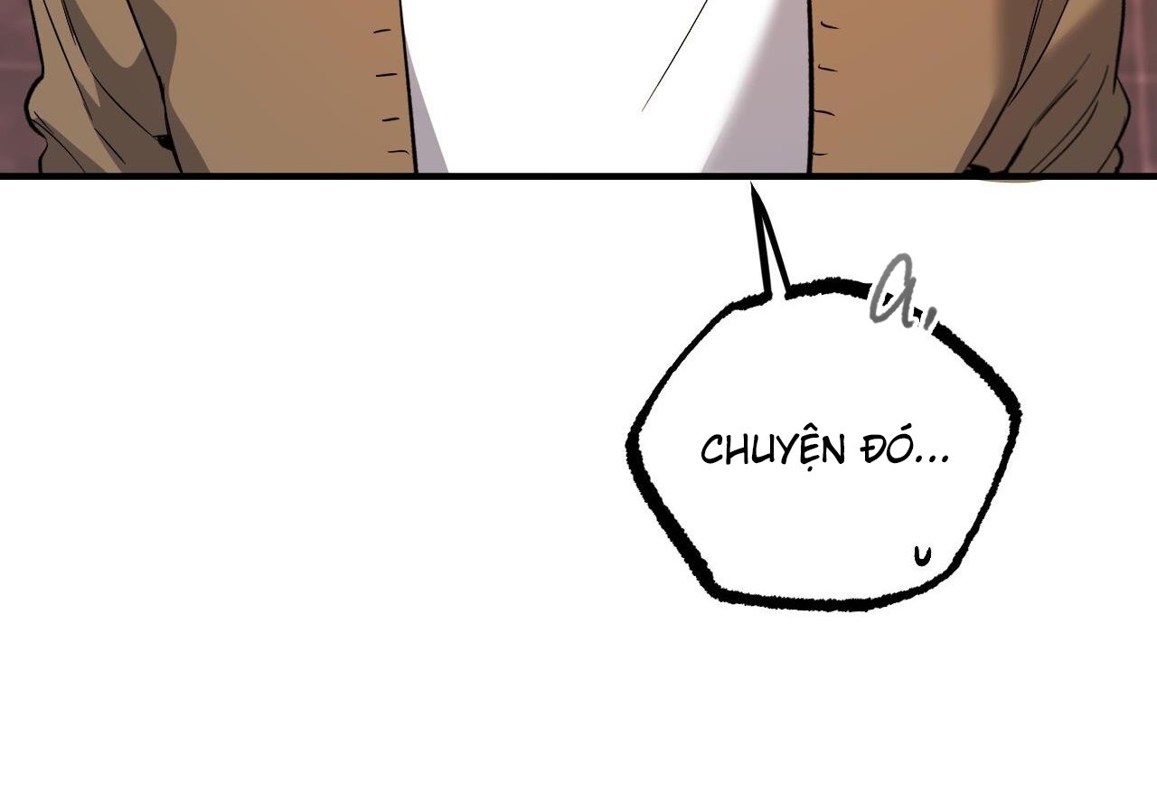 những chú thỏ của hapypy chapter 62 100