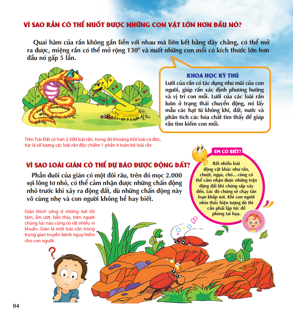 Vì Sao Chim Lại Làm Tổ?