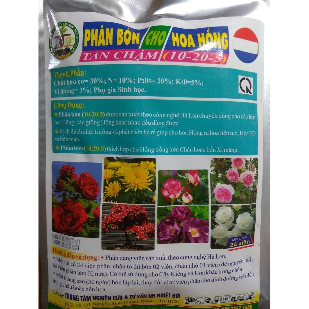 Phân bón cho hoa hồng NPK 10-20-5 - gói 24 viên