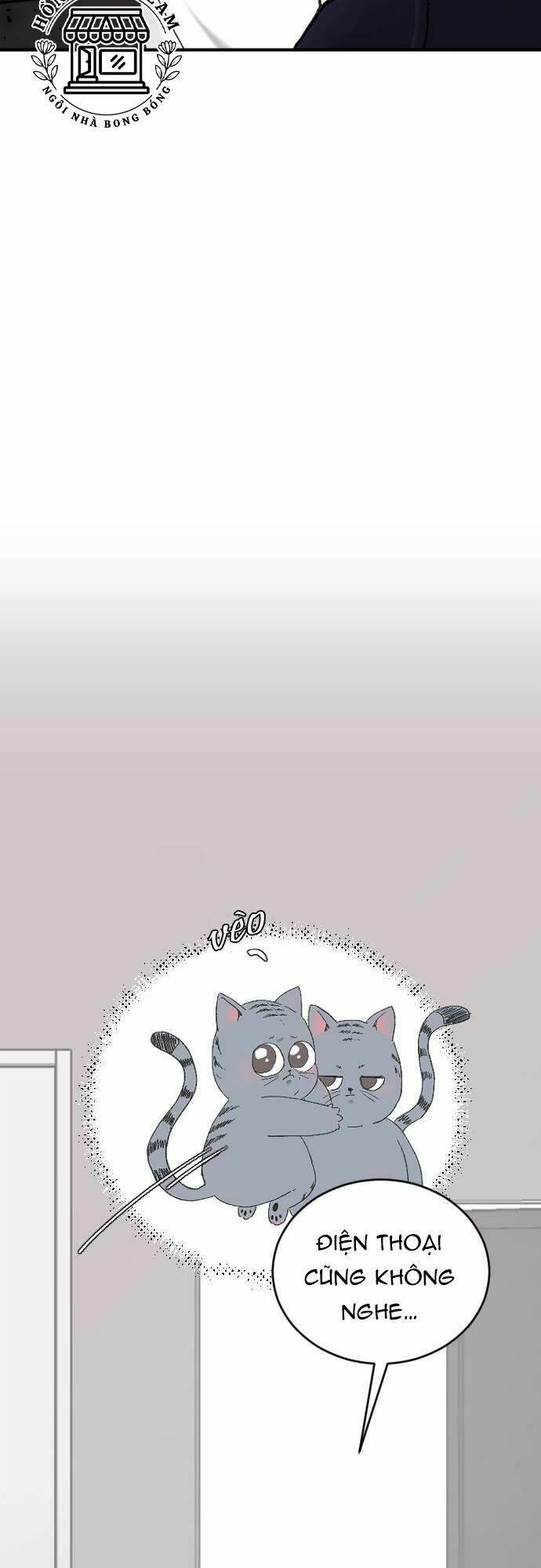 ba người anh trai cực phẩm của tôi chapter 31 5