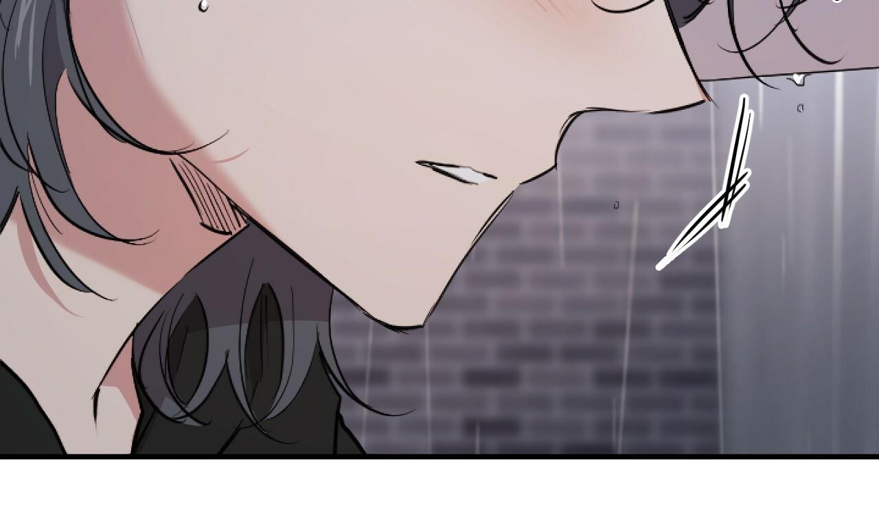 đàn thỏ của habibi chapter 35 12