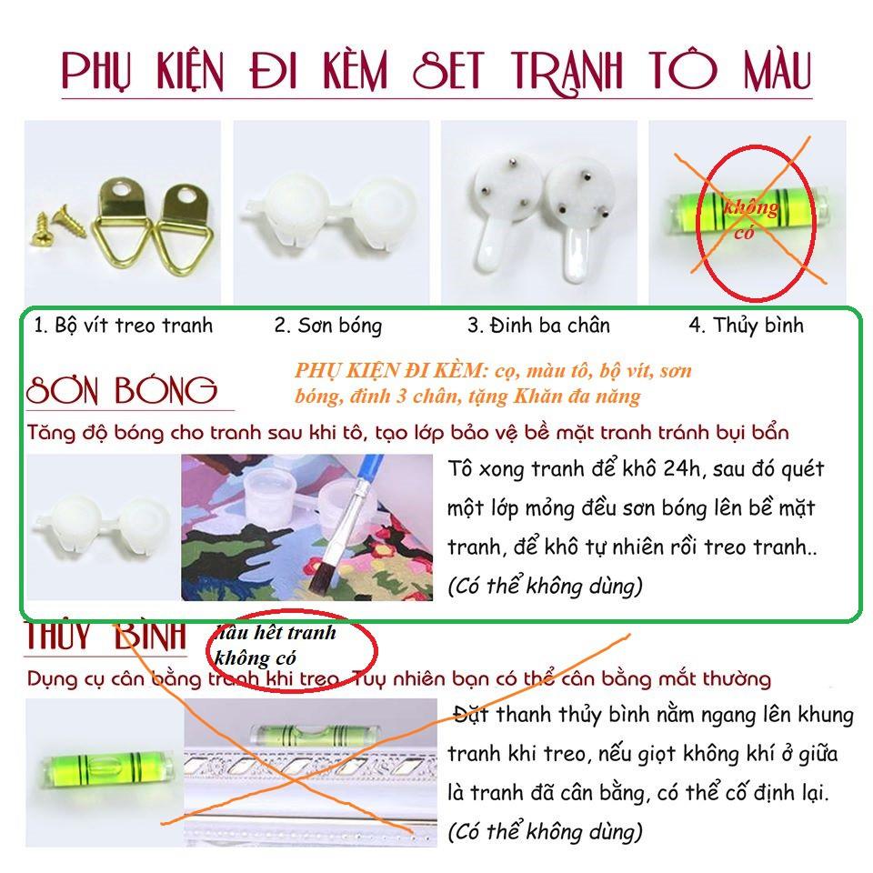 Tranh sơn dầu số hóa rẻ,đẹp-tranh tô màu theo số- tranh thiếu niên 1, Tặng khăn,khung gỗ 40x50-T1