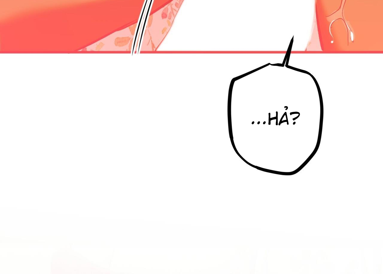 đàn thỏ của habibi chapter 63 169