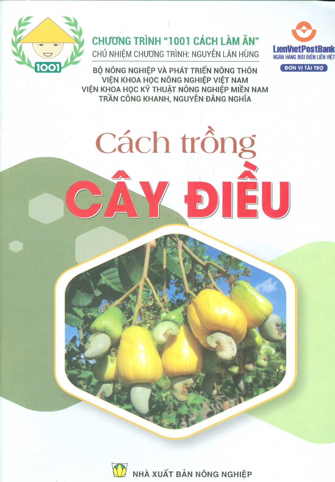 Cách Trồng CÂY ĐIỀU