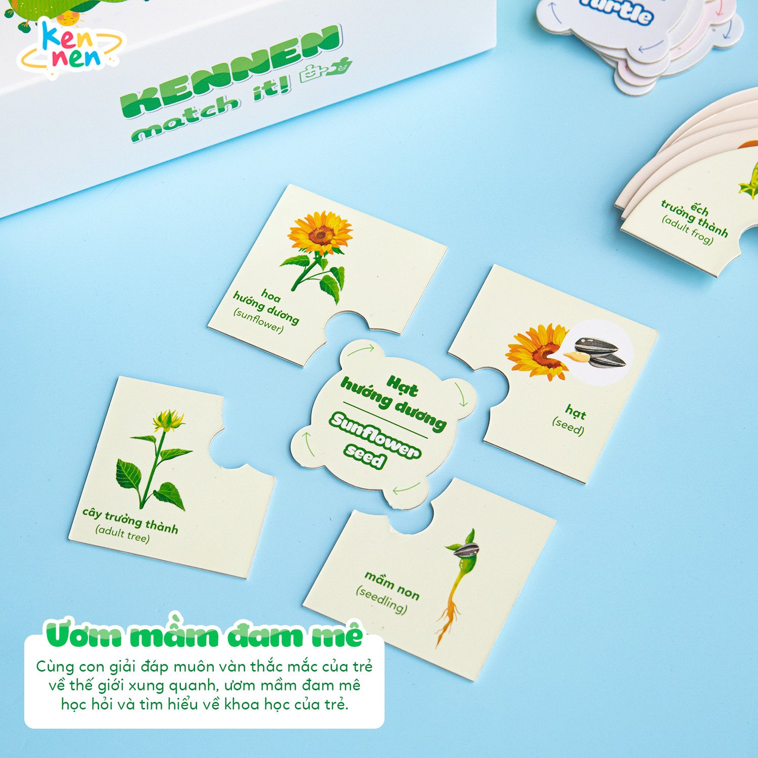 Kennen Match it - Puzzle học chữ và đánh vần Tiếng Việt 5in1 và học các Kỹ năng sống, Vòng đời của sự sống - Dành cho bé từ 3 tuổi