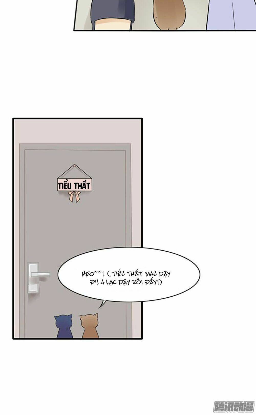 hai chú mèo totem chapter 10 18