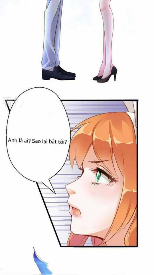 người vợ bí ẩn của tổng tài chapter 1 27