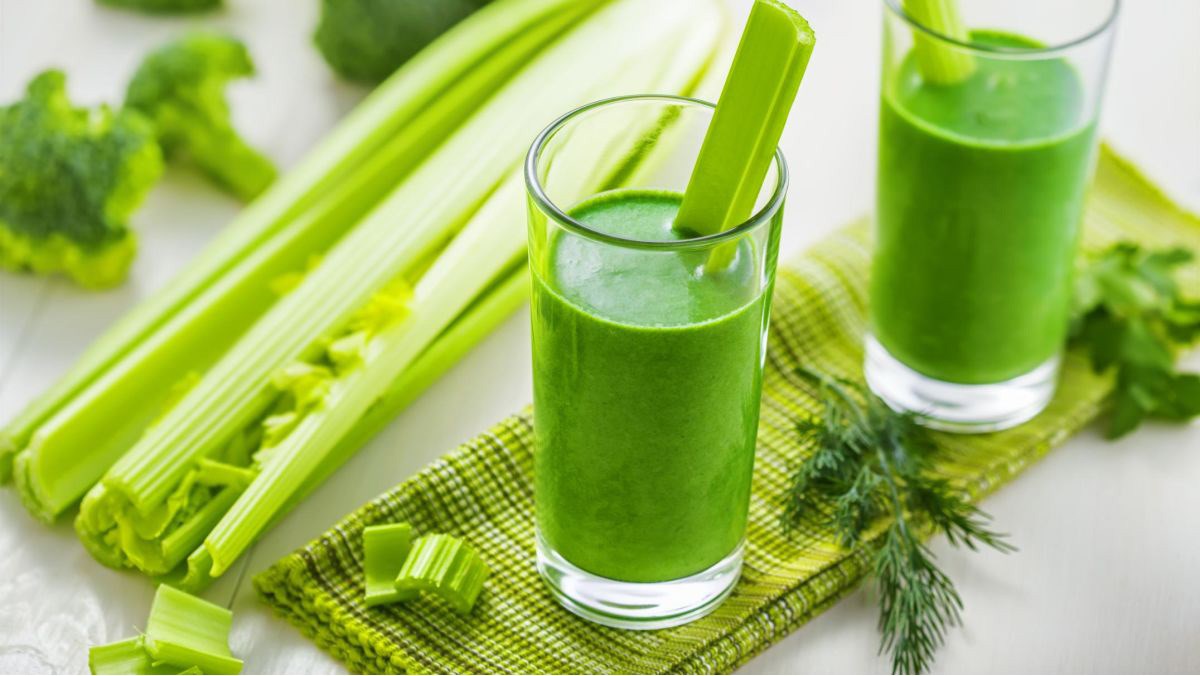 Hạt giống Rau Cần Tây Ưa Thích Nhiệt Độ Và Độ Ẩm Mát Mẻ Năng Suất Cao - Nông Sản Vàng