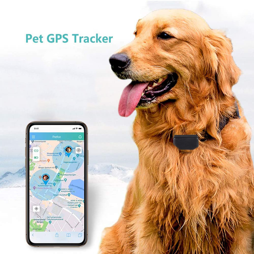 Máy theo dõi GPS mini có dây đeo Tích hợp còi, báo rung, báo điện yếu Model: P03