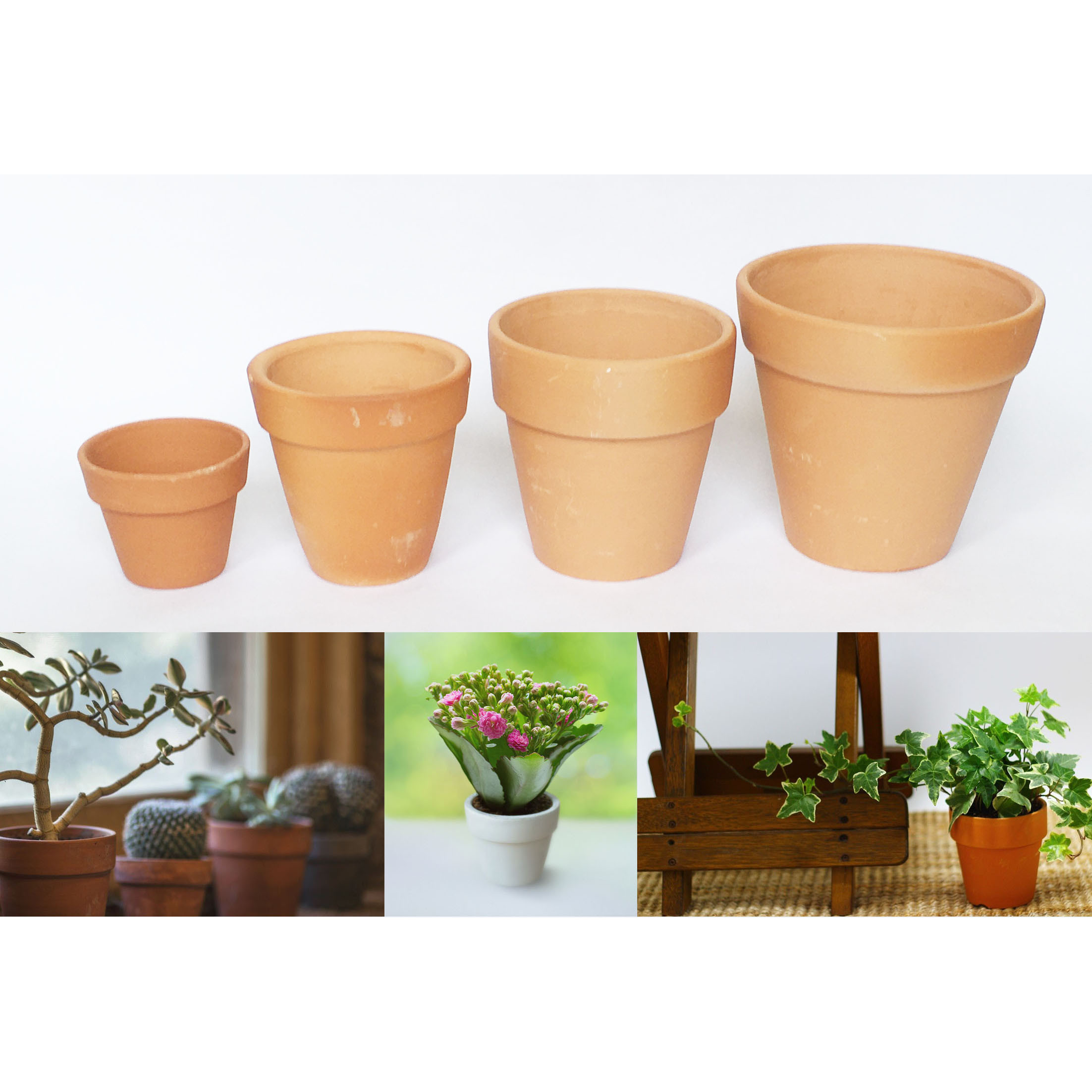 Combo 4 Chậu đất nung vintage gồm 4 size 8.5-17cm, chậu trồng cây cảnh sen đá - xương rồng