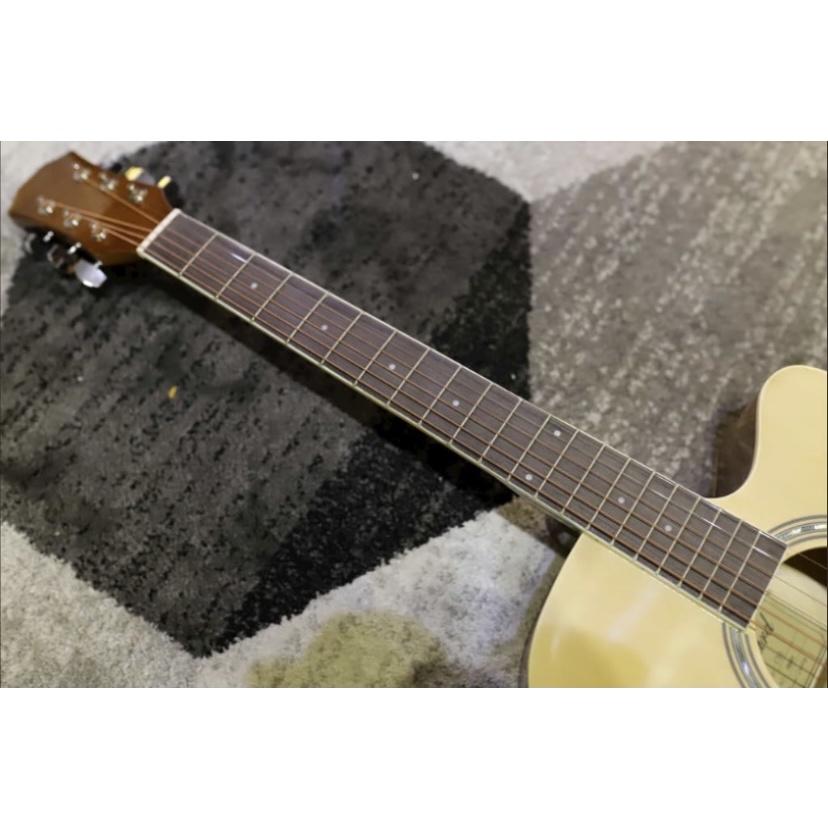 Đàn Guitar Acoustic Chard C50