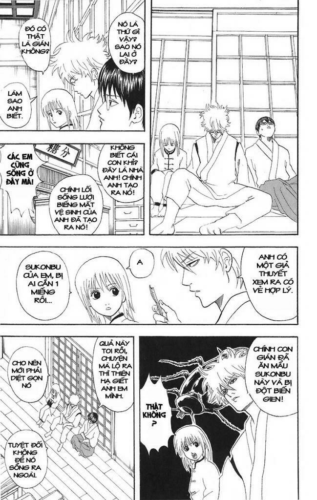 gintama - linh hồn bạc chapter 47 5