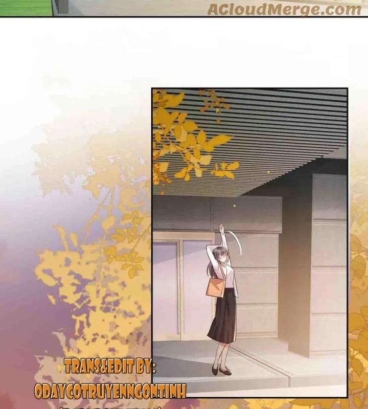 sau đêm ly hôn chapter 9 16