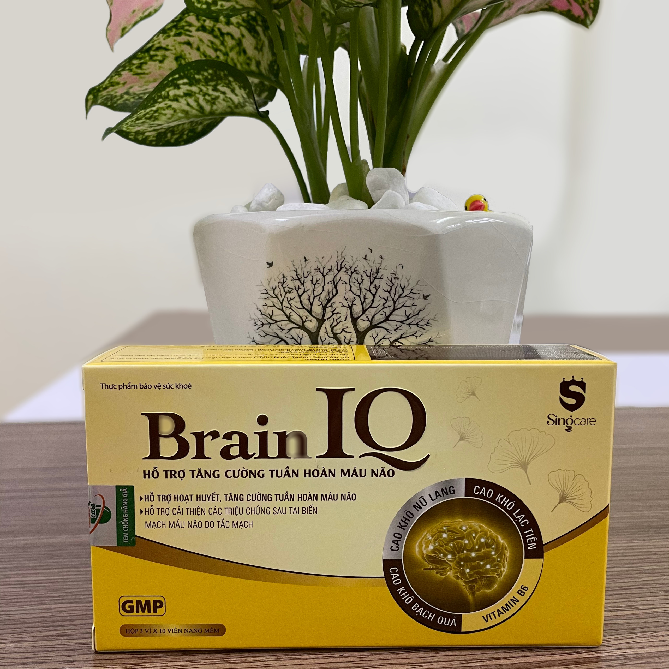 Combo 2 hộp Thực Phẩm Bảo Vệ Sức Khỏe Brain IQ - Tăng Cường Tuần Hoàn Não, Ngủ Ngon, Cải Thiện Trí Nhớ