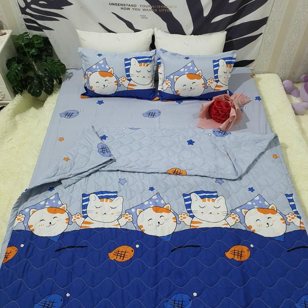 SET 4 MÓN CHĂN HÈ TRẦN BÔNG KÈM GA GỐI COTTON POLY MẪU MÈO CÁ XANH