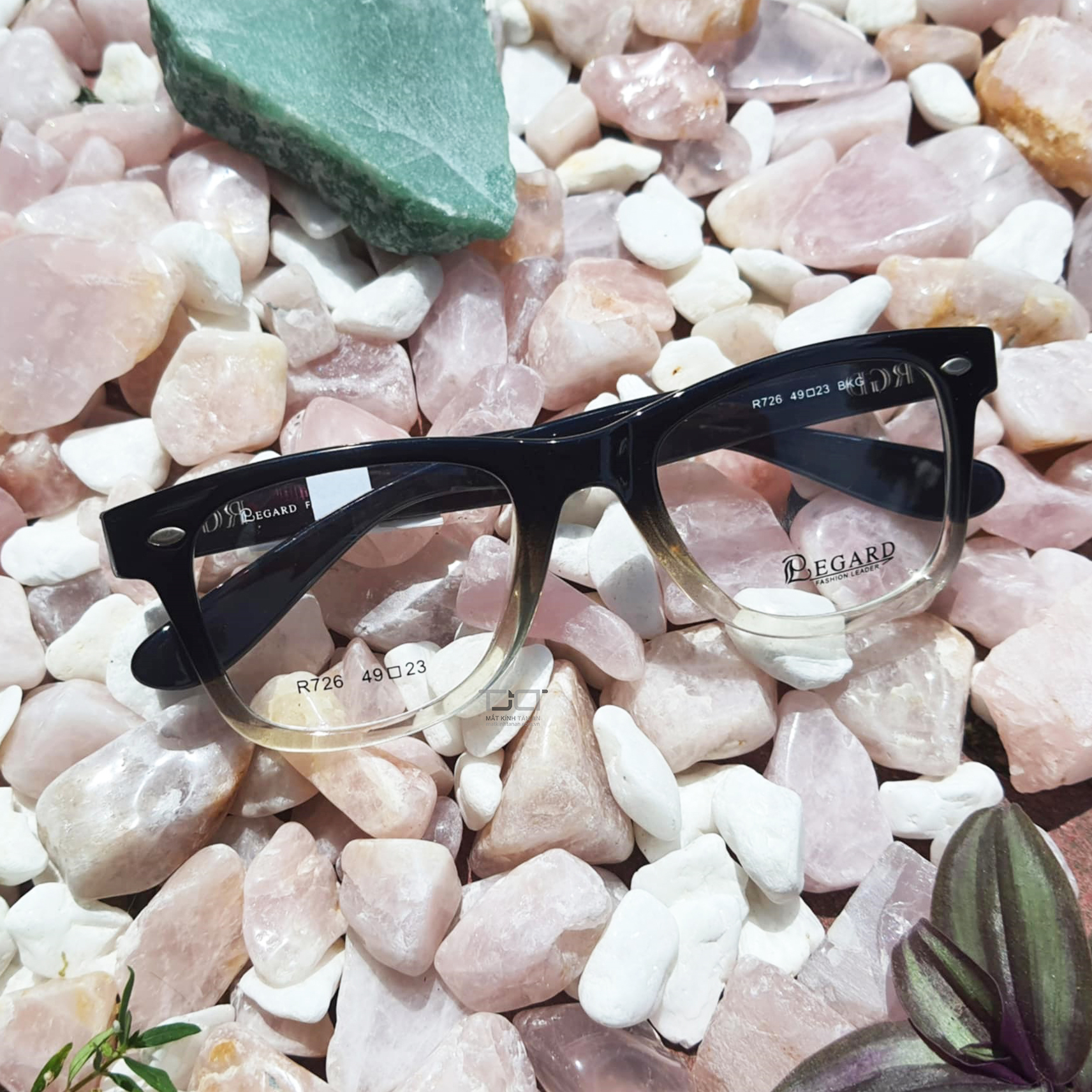 GỌNG KÍNH OMBRE UNISEX, HÀNG CHÍNH HÃNG REGARD R726-BKG