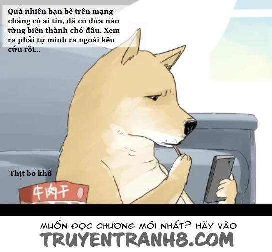 một con chó chapter 2 3