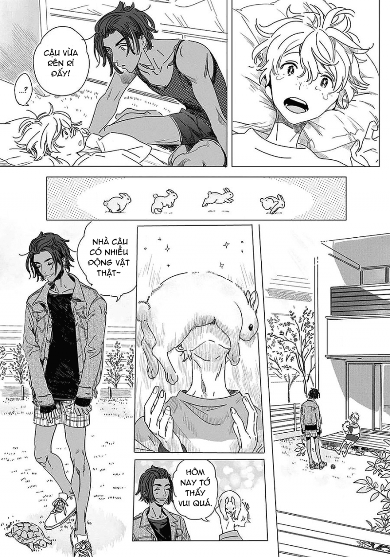 đất nước của những chú sư tử chapter 2 5