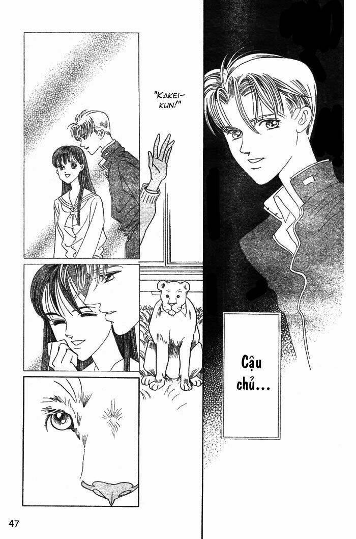 wild cats chapter 1 50