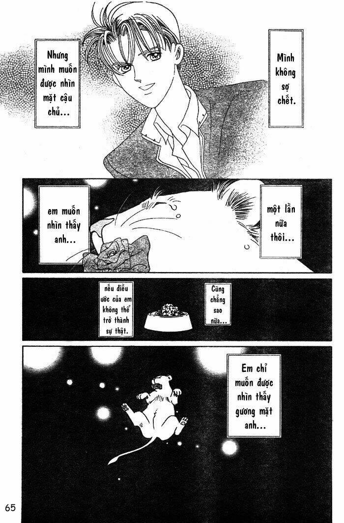 wild cats chapter 1 68