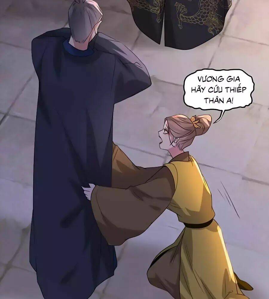 gian phi như thử đa kiều chapter 69 37