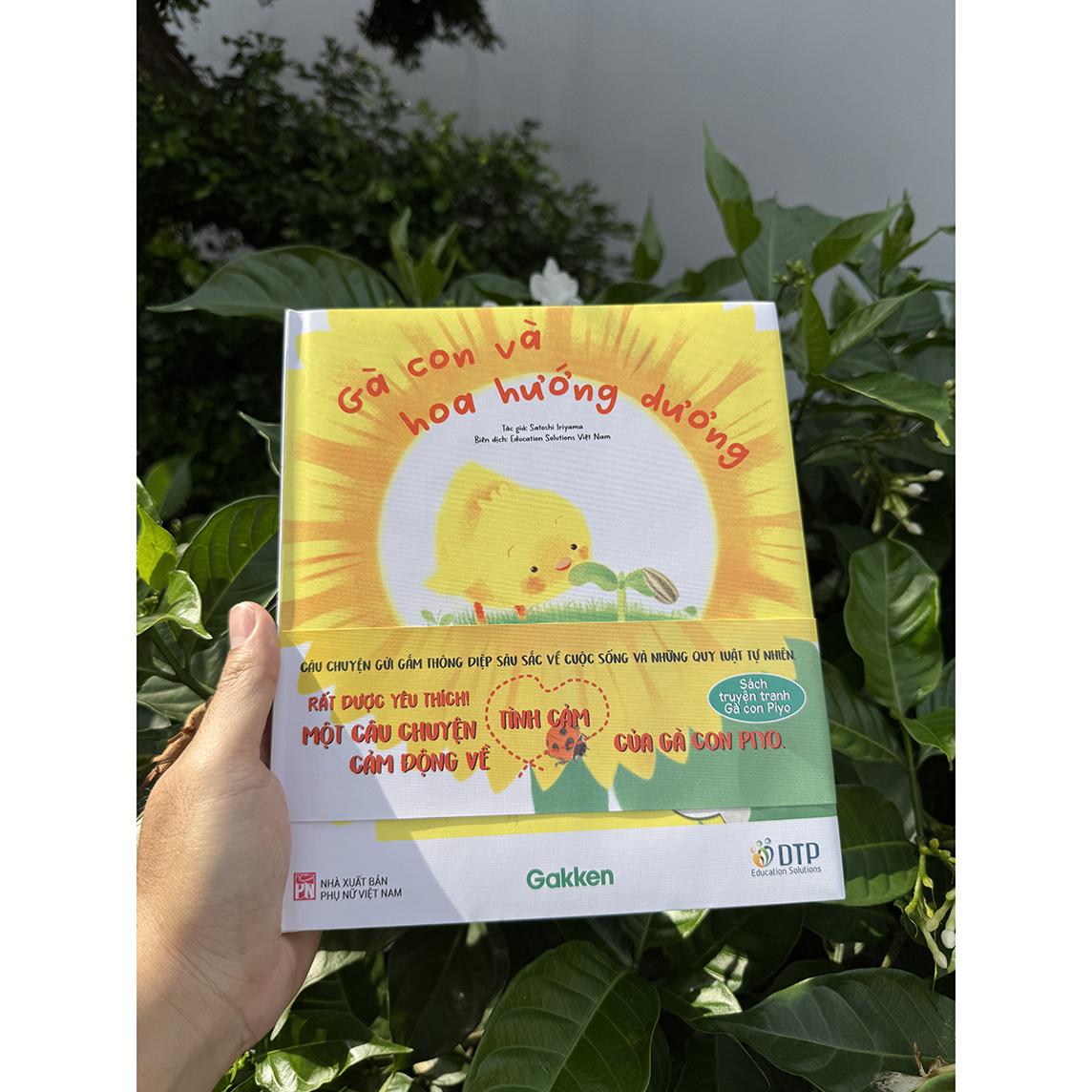 Sách Gà con và hoa hướng dương