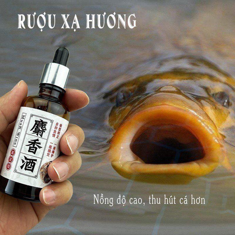Rượu xạ hương Chép Vương nồng độ cao Hương liệu mồi câu cá cao cấp Đồ Câu Việt Bắc