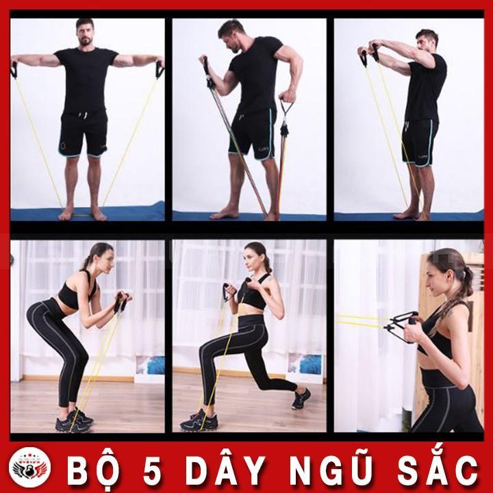 Bộ 5 Dây Ngũ Sắc Tập Gym - Full Body - Vận Chuyển Miễn Phí Toàn Quốc