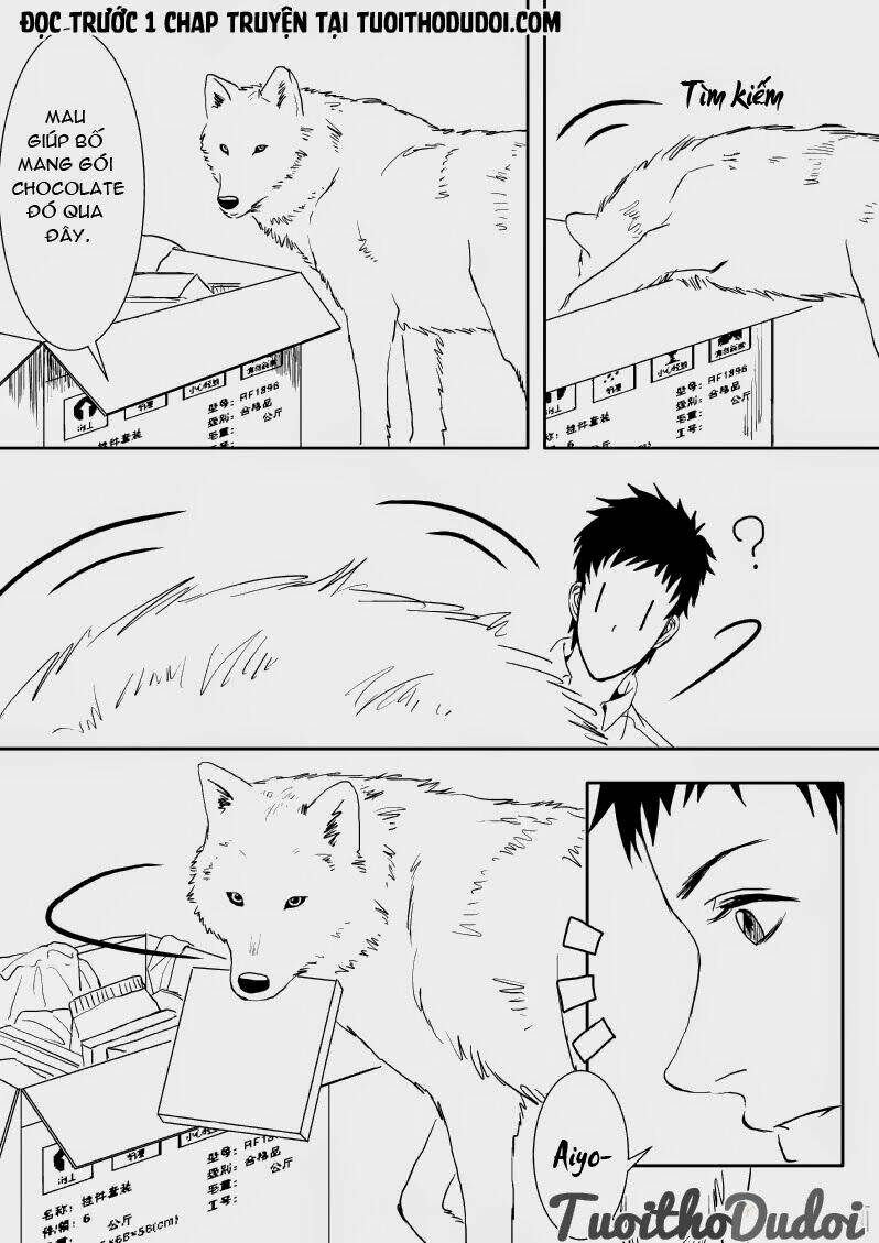 sự mê hoặc của sói chapter 9 7