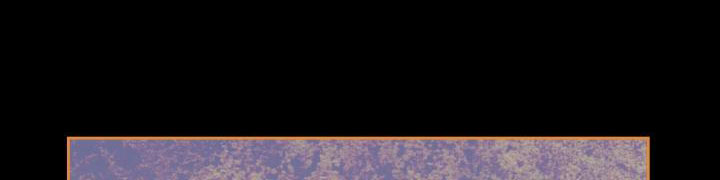 giết chết ác nữ phản diện chapter 61.1 340