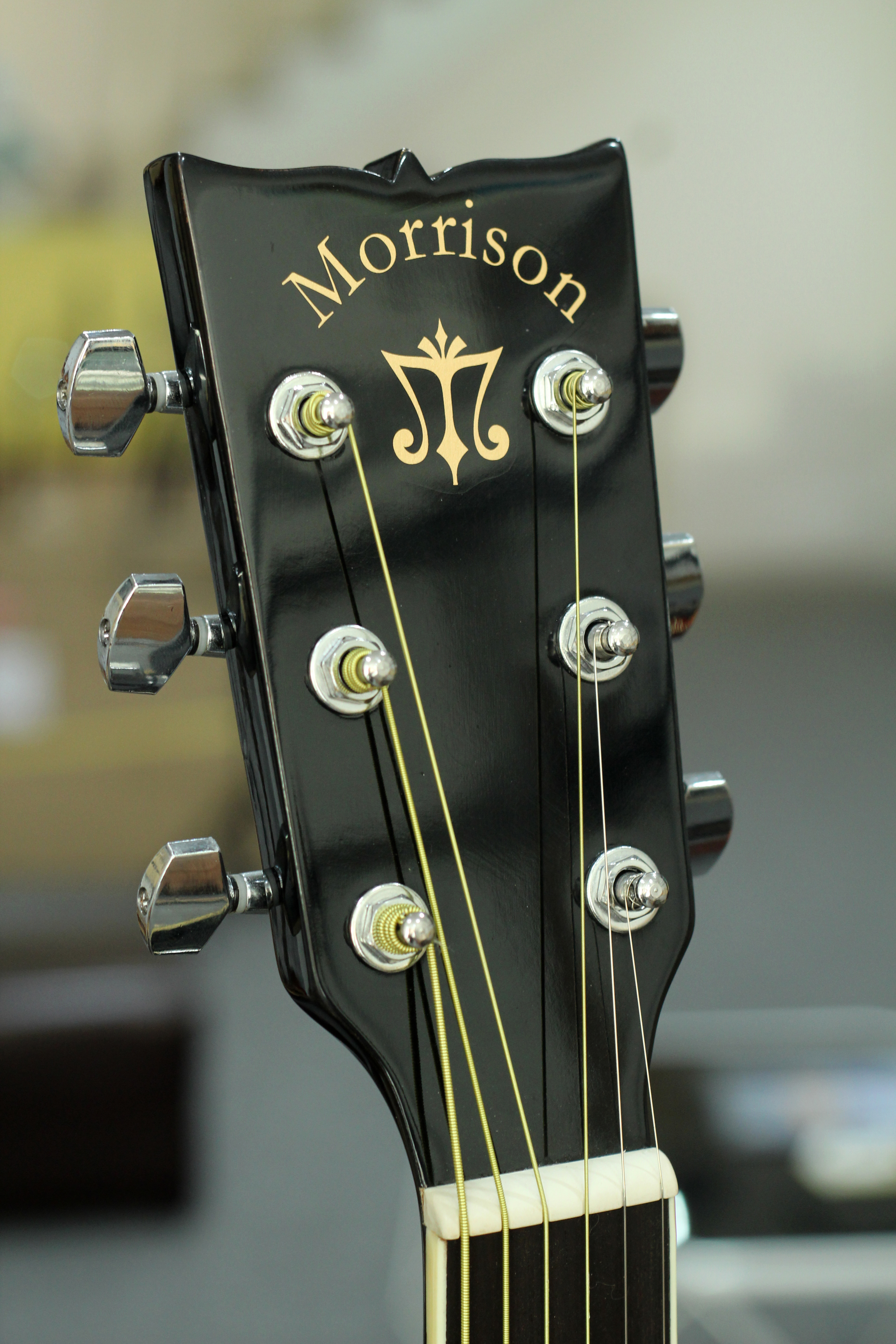 Đàn Guitar Acoustic Morrison MGW 405BK EQ